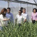 Silvia Clemente apuesta por la innovación y la modernización como claves de futuro del sector agrario y alimentario de Castilla y León