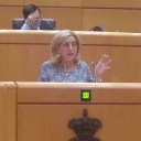 Sanz Jerónimo asegura que la Ley de Patrimonio Natural mejorar el régimen de protección, conservación y restauración de la biodiversidad española