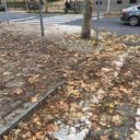 El PP municipal pide que se refuerce la limpieza de hojas de las calles