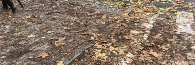El PP municipal pide que se refuerce la limpieza de hojas de las calles