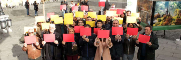 Nuevas Generaciones de Segovia difunde los valores recogidos en la Constitución con un acto presidido por un mosaico de la bandera de España