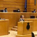La senadora Paloma Sanz pide la aplicación de un IVA superreducido del 4% para mascarillas e hidrogeles, con el que todos los segovianos se verían beneficiados
