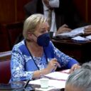 Paloma Sanz a Garzón: “Usted se ha cruzado de brazos ante el fuerte incremento de la luz”