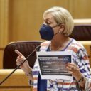 Paloma Sanz afirma que consumidores, autónomos y Pymes tienen que hacer frente a una nueva crisis, la subida de la luz