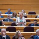 Paloma Sanz a Puente: «Su improvisación y la reducción de frecuencias de tren pone en riesgo la calidad de vida de miles de segovianos»